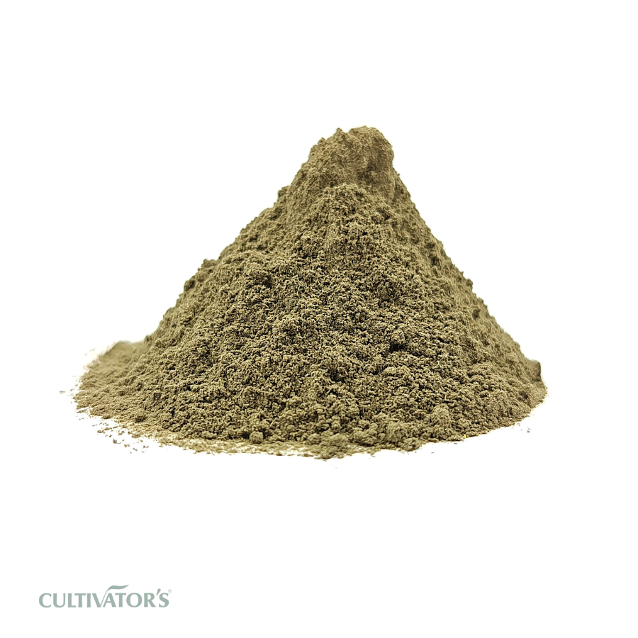 Organic Bhringraj Powder