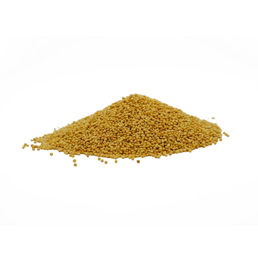 Brassica alba (Yellow Mustard) Seeds