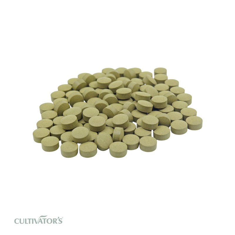 Organic Senna Tablet