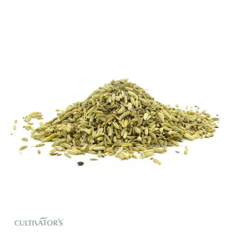 Organic Fennel Seeds