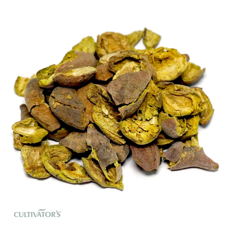 Organic Bibhitaki Fruit