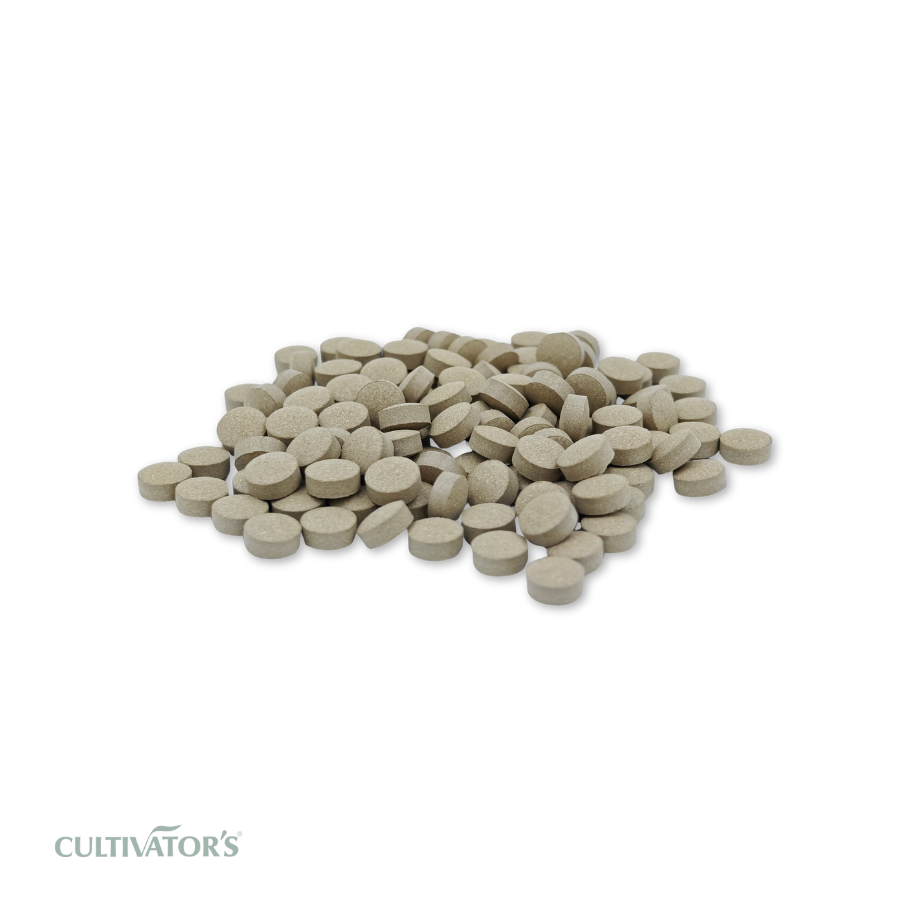 Organic Brahmi Tablets