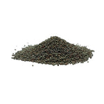 Brassica nigra (Black Mustard) Seeds