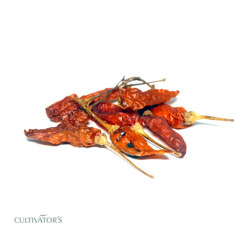 Organic Birds Eye Chili Fruits