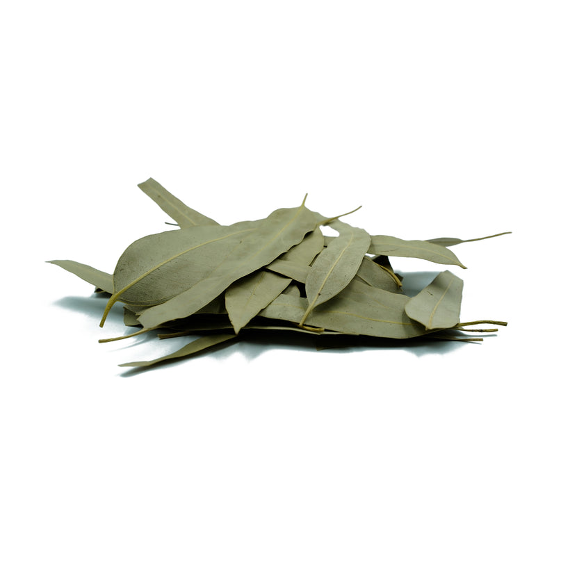 Bulk Organic Eucalyptus Globulus (Eucalyptus) Leaves