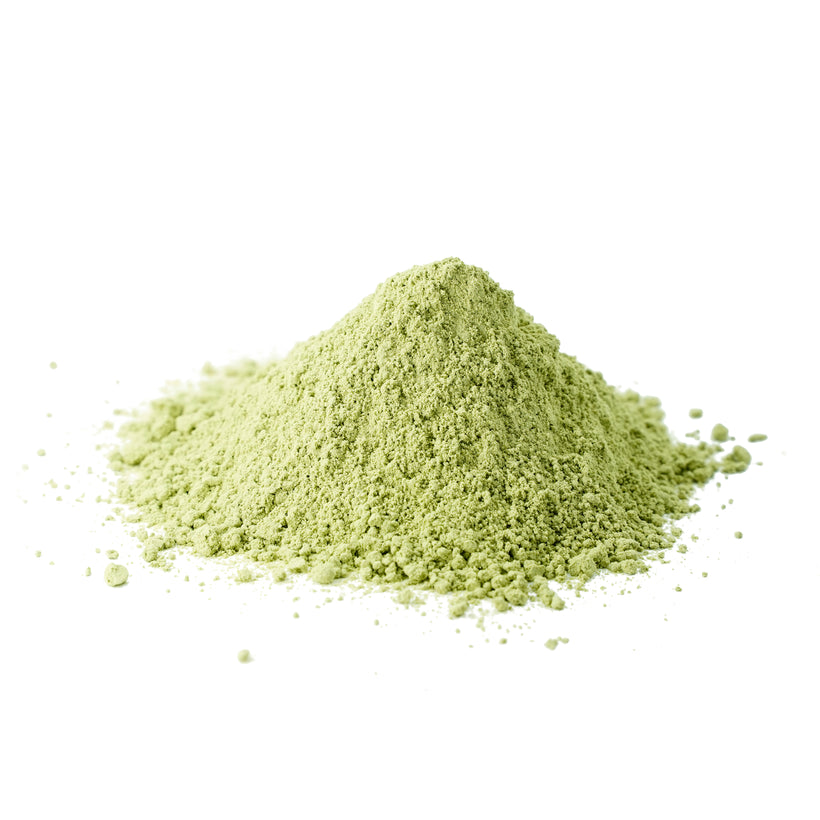 Wholesale Organic Medicago Sativa (Alfalfa) Leaves Powder