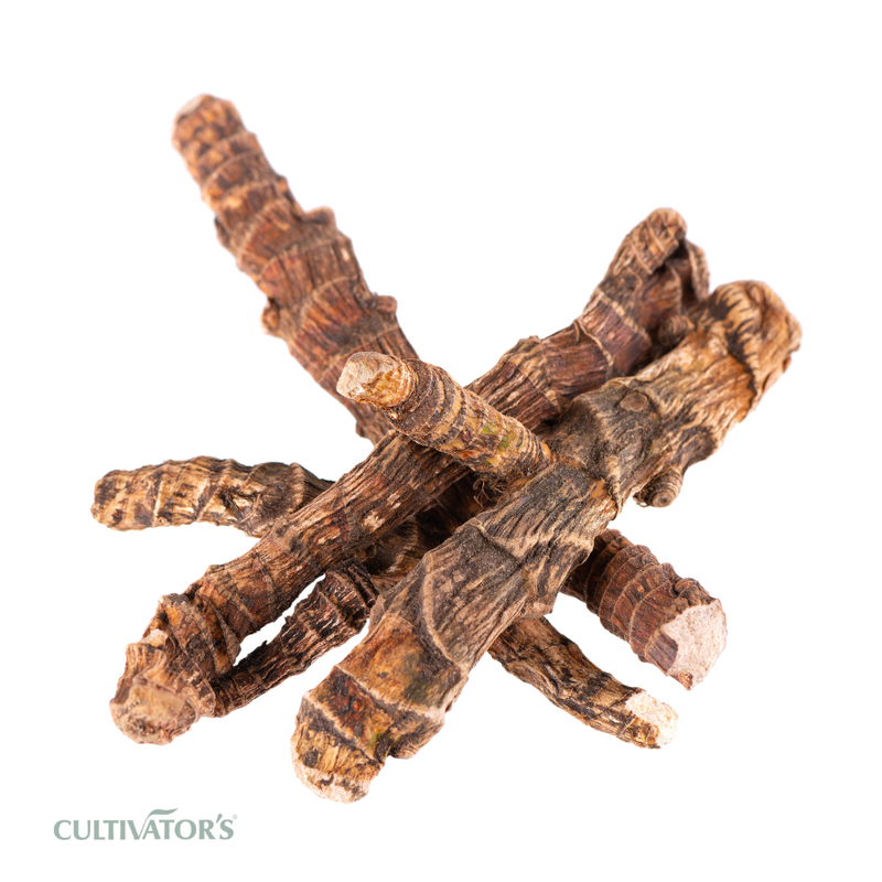 Organic Vacha rhizome