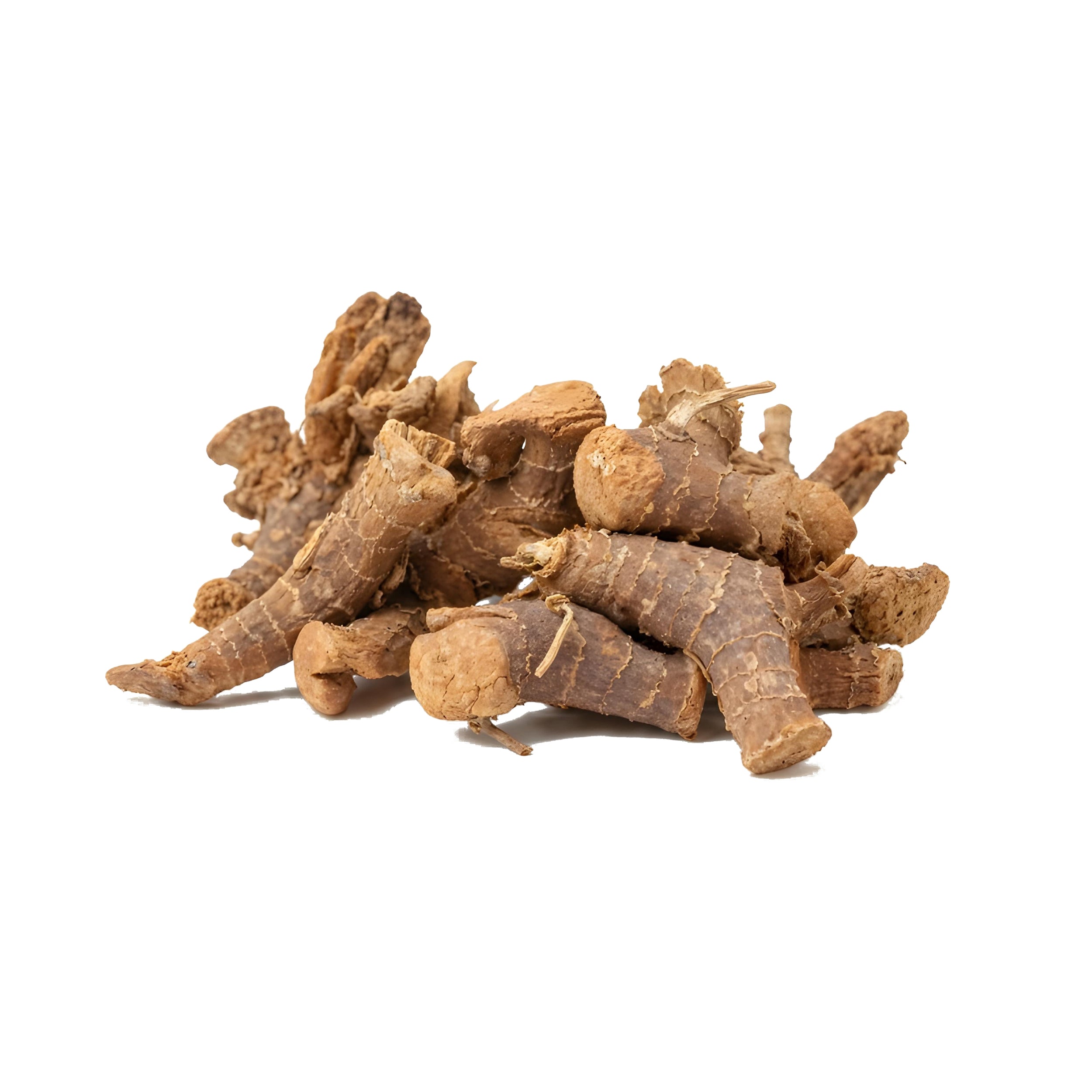 Kaempferia galanga (Galangal) Roots