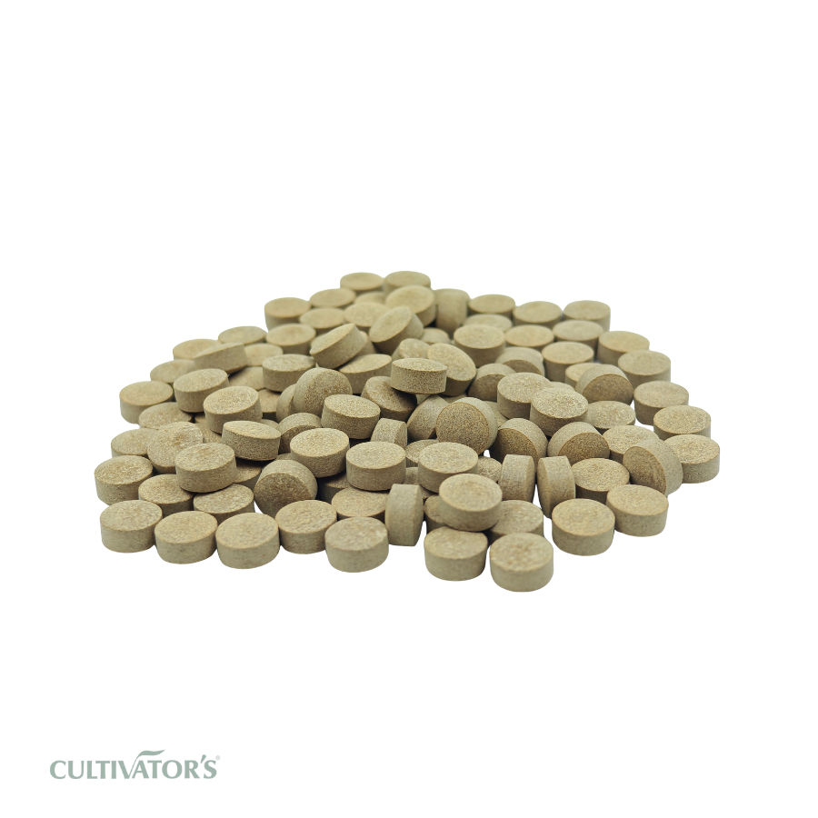 Organic Bibhitaki Tablets