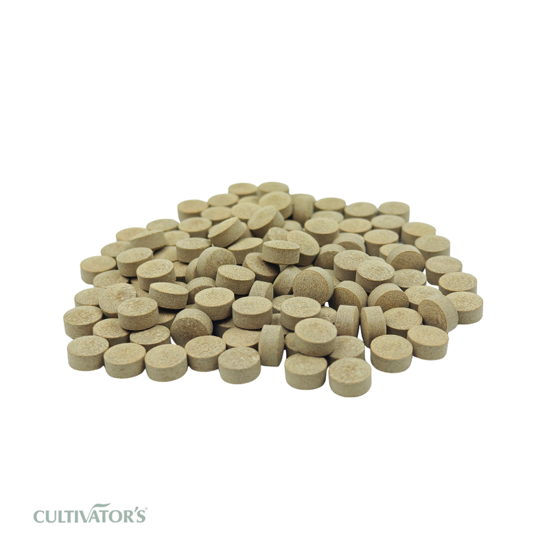 Organic Bibhitaki Tablets