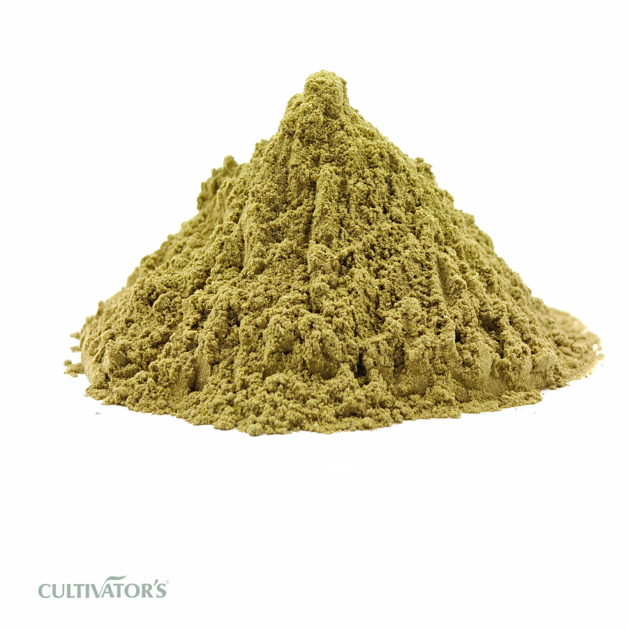 Organic Gurmar Leaf Powder