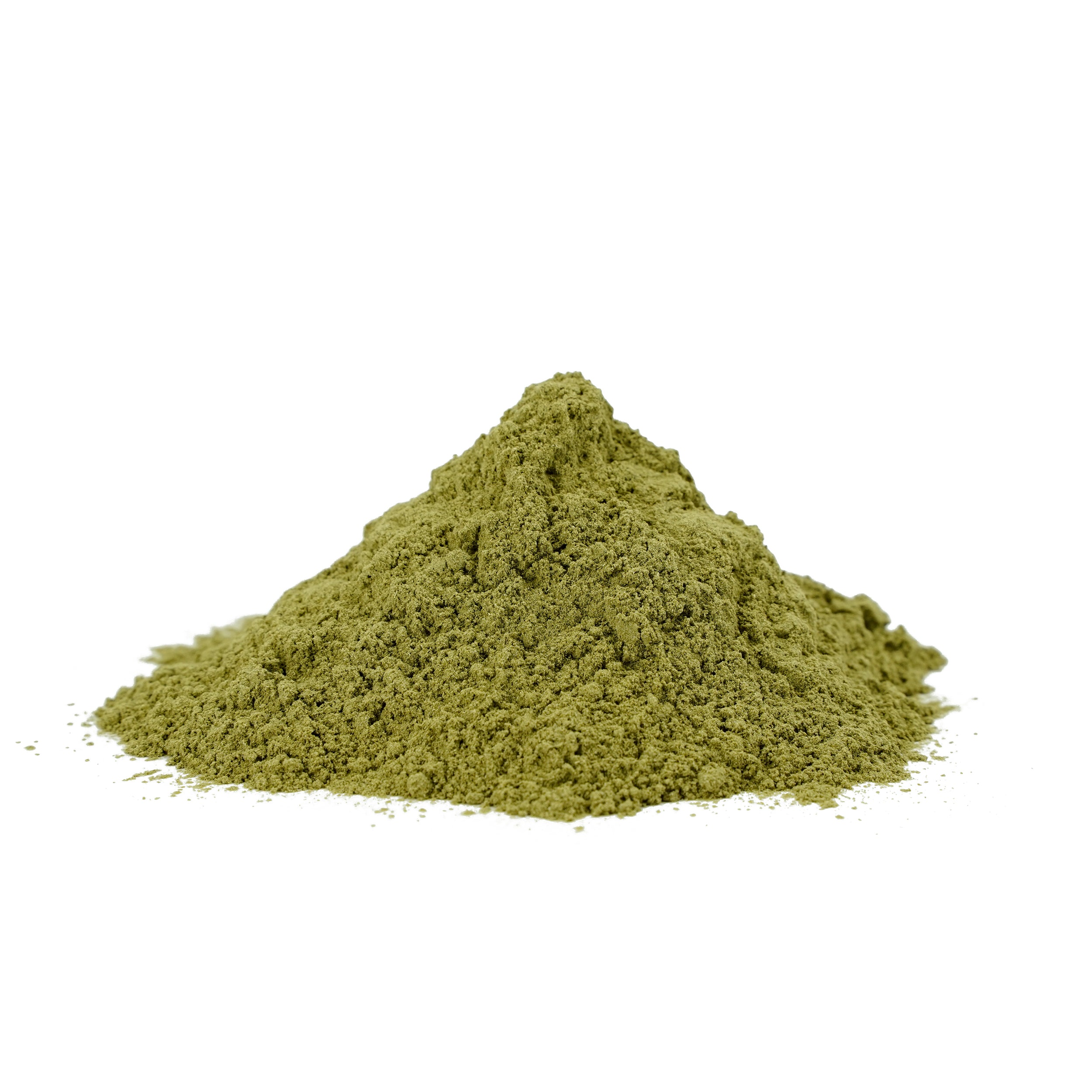 Andrographis paniculata (Kalmegh) Whole Plant Powder