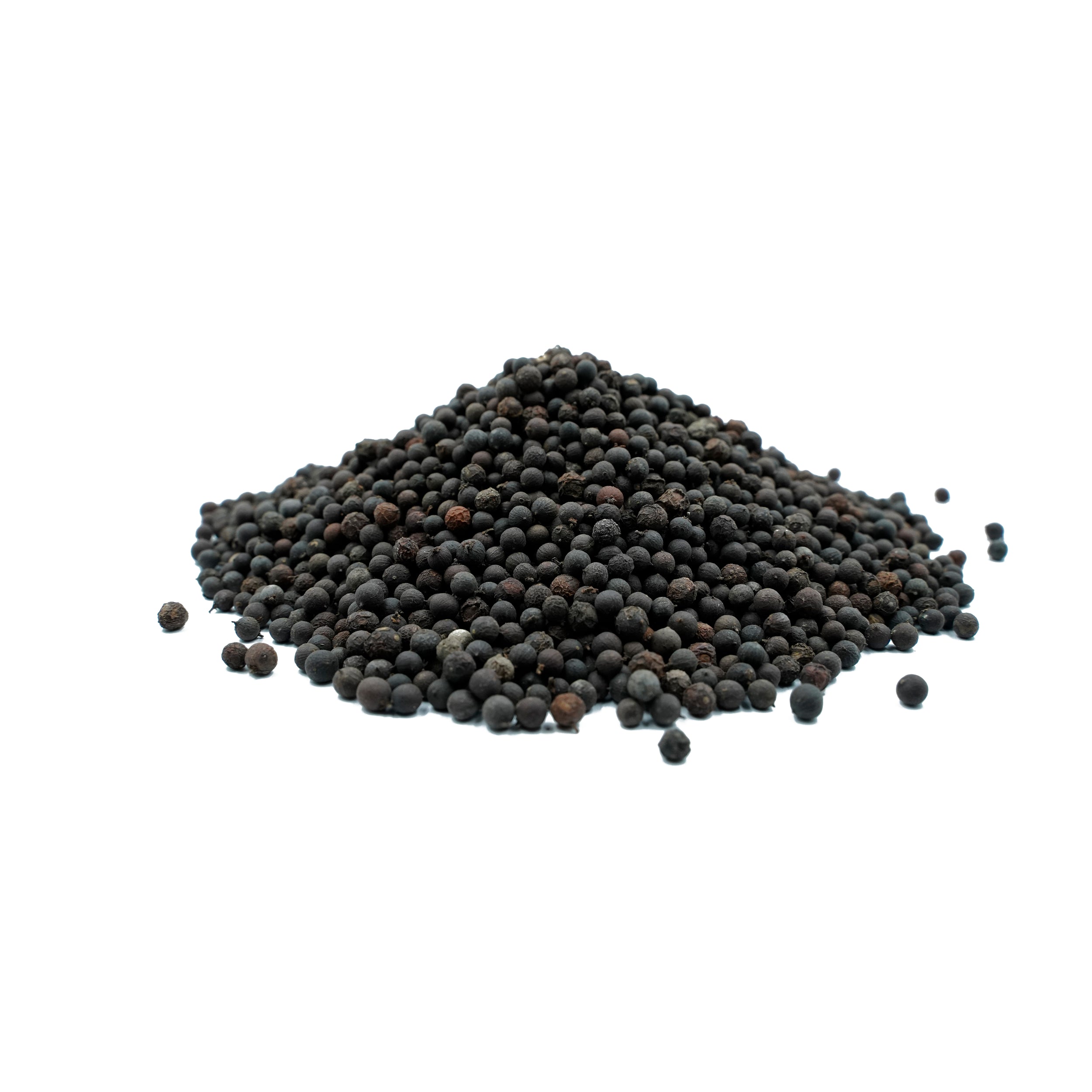 Embelia ribes (Vidanga) Fruits