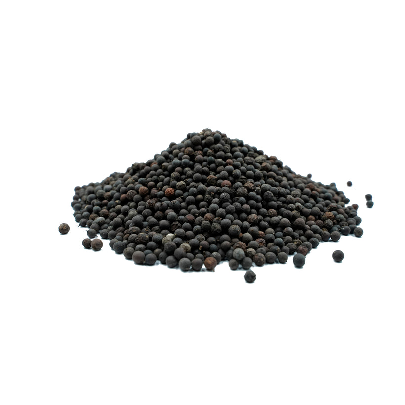 Wholesale Herbal Embelia Ribes (Vidanga) Fruits