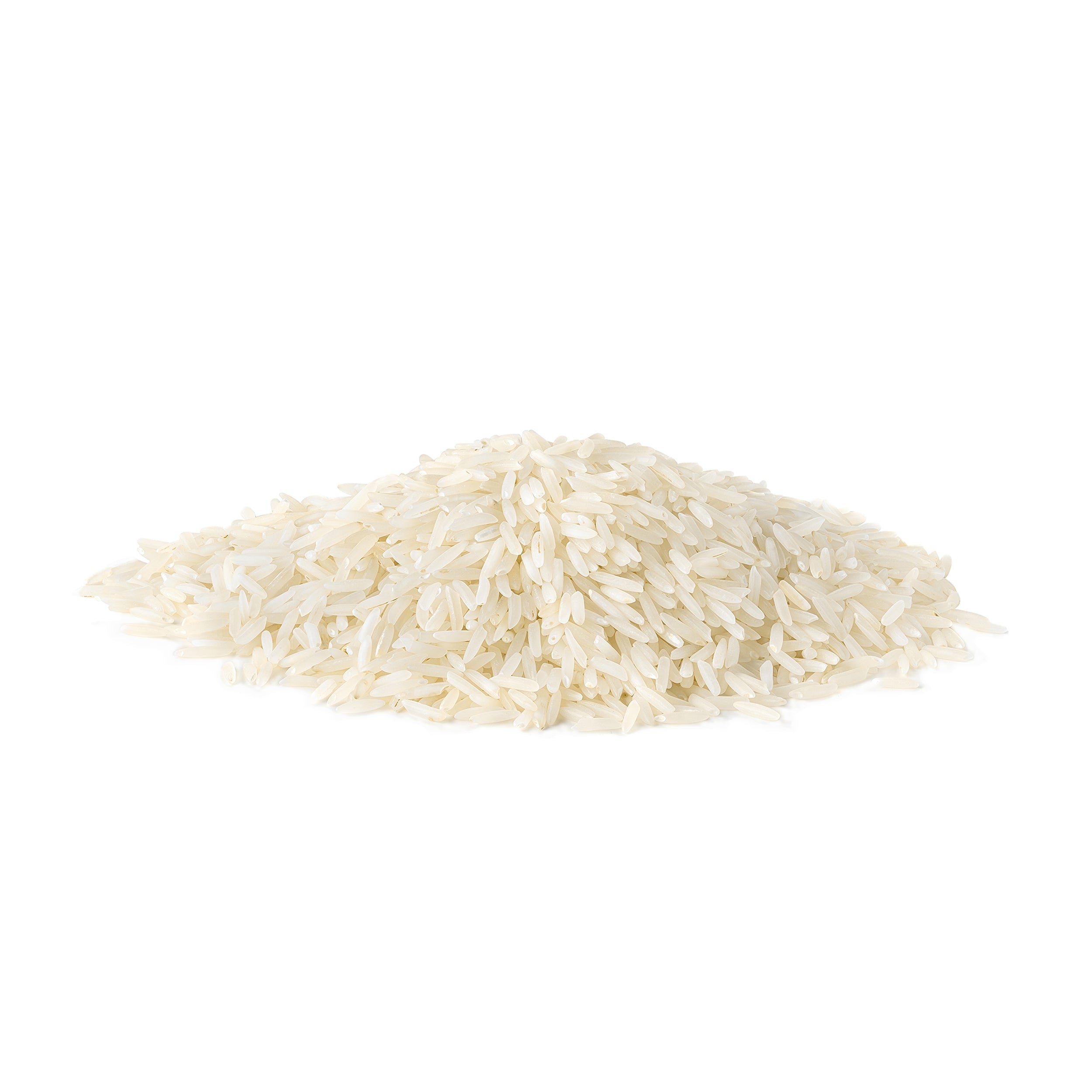 Oryza sativa (Rice)