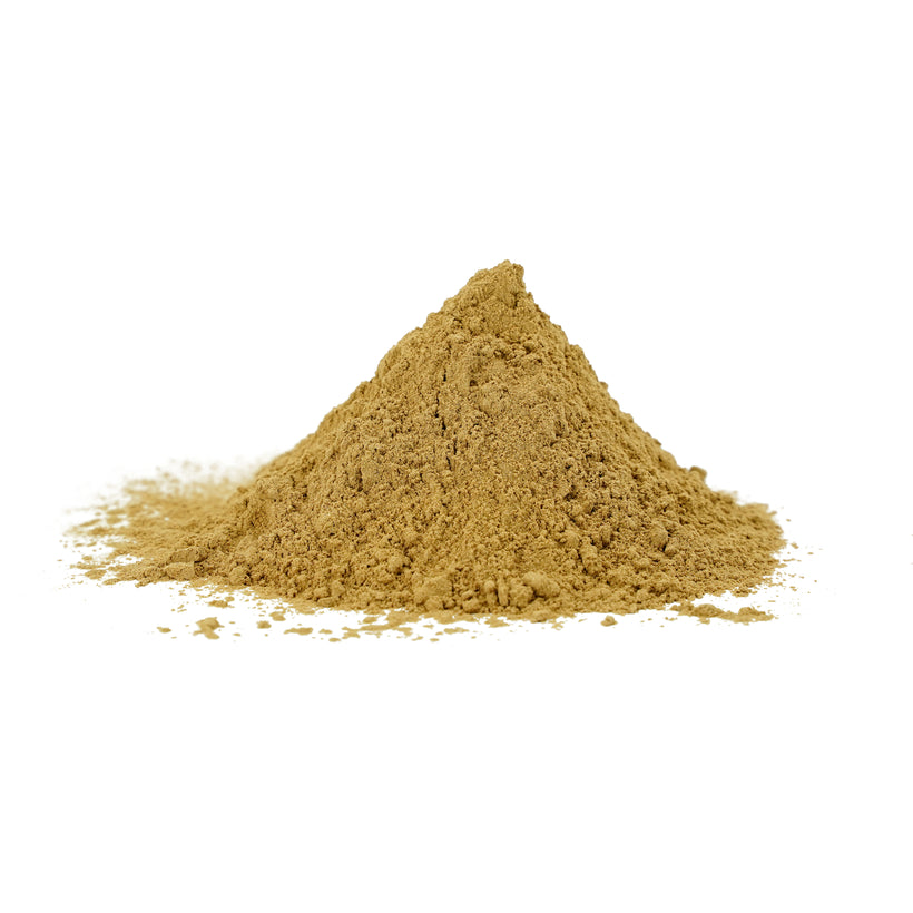 Wholesale Organic Hemidesmus Indicus (Anantmool) Roots Powder