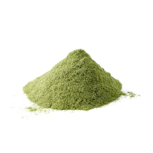 Triticum aestivum (Wheatgrass) Leaves Powder