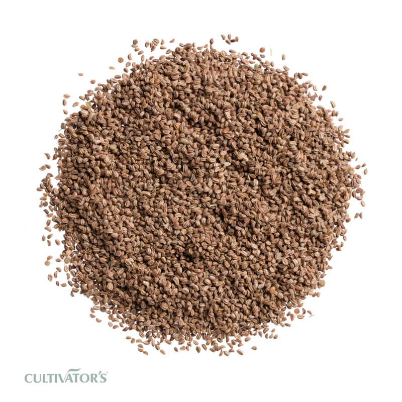 Organic Celery Seeds