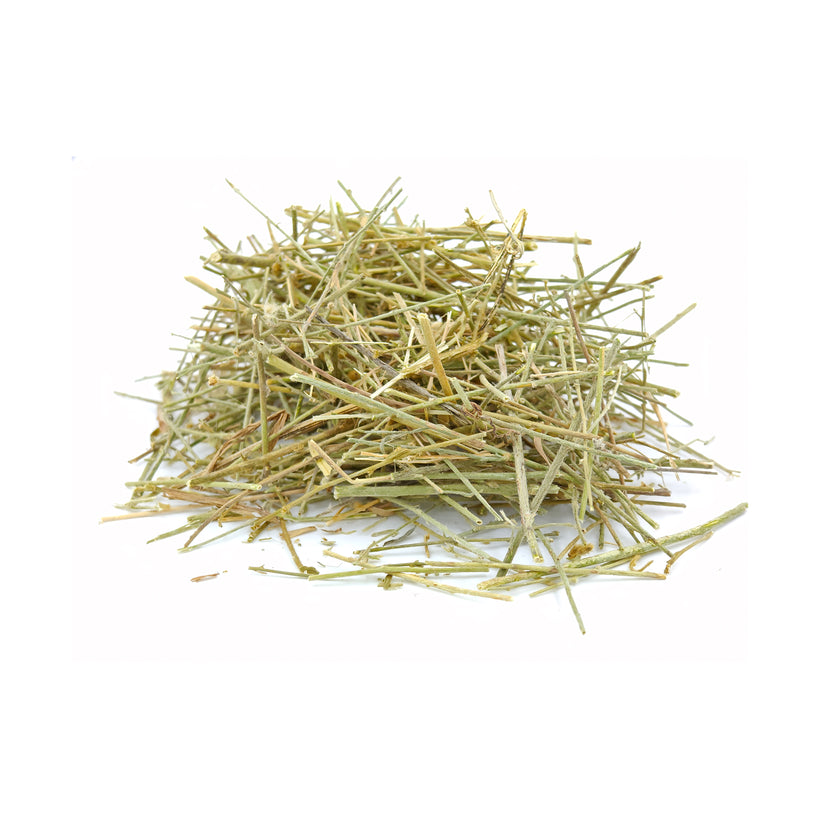 Wholesale Convolvulus Pluricaulis (Shankhpushpi) Whole Plant