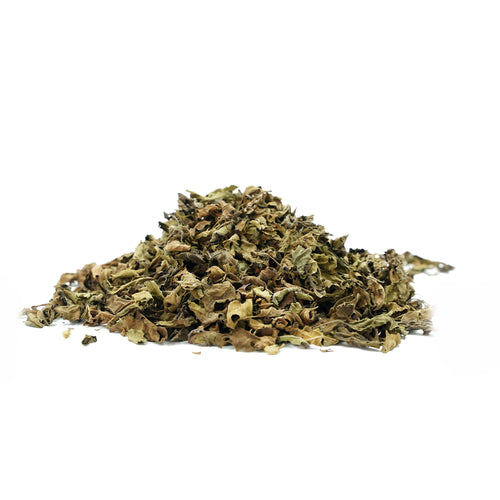 Ocimum basilicum (Rama tulsi) Leaves