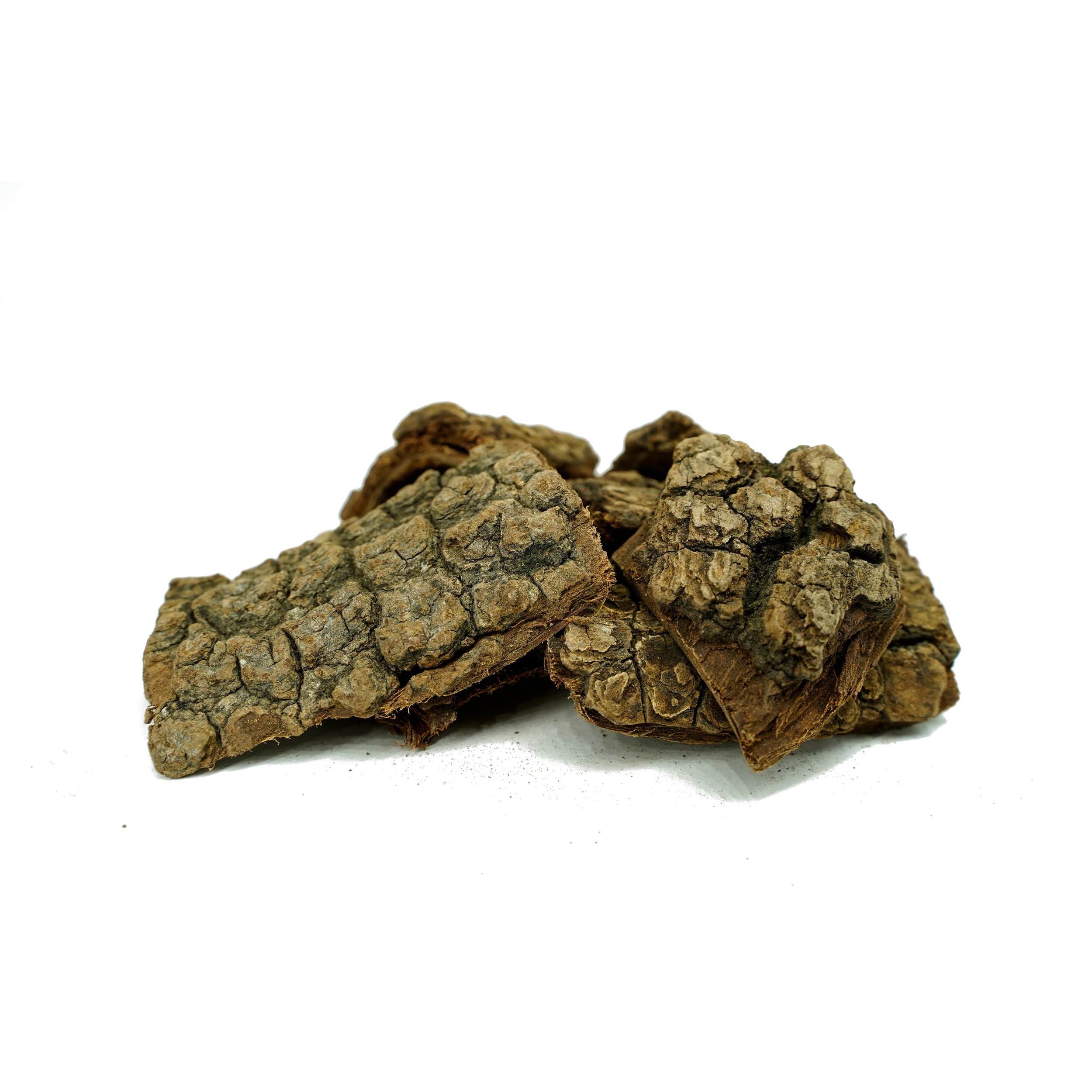 Bauhinia variegata (Kachnar) Bark