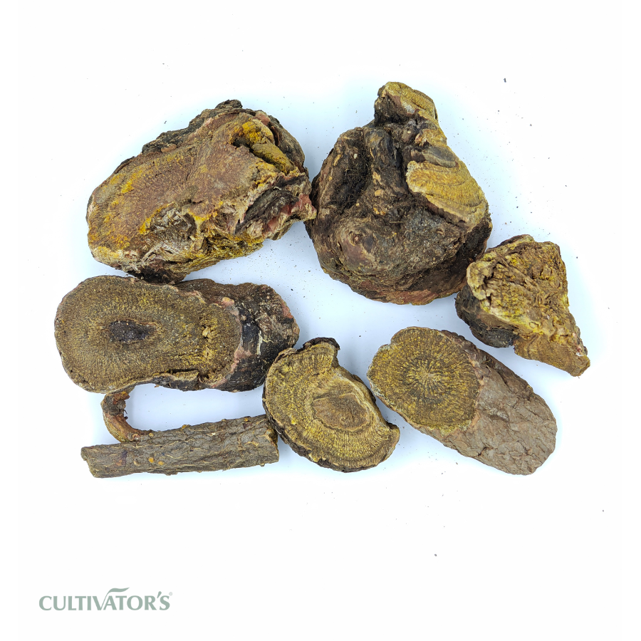 Organic Rhubarb Roots