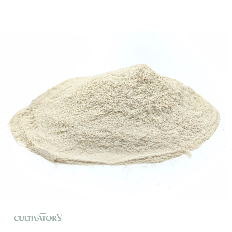 Organic Indian Frankincense Powder