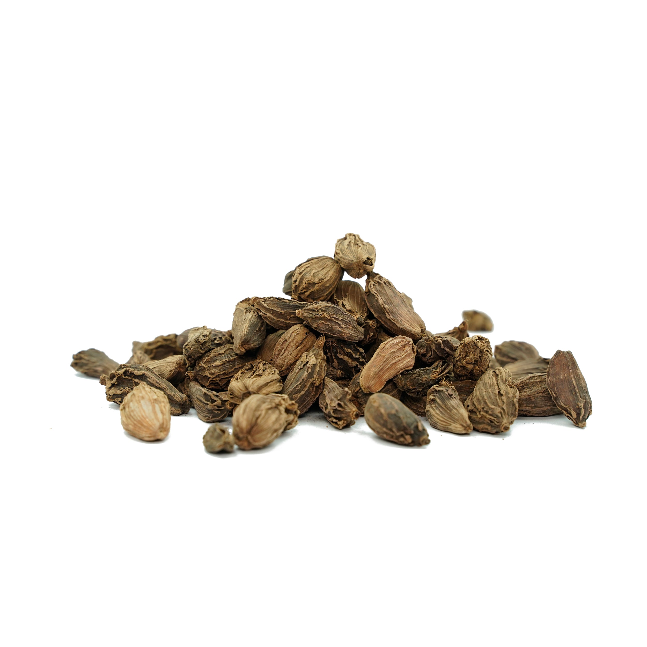 Amomum subulatum (Black Cardamom) Fruits