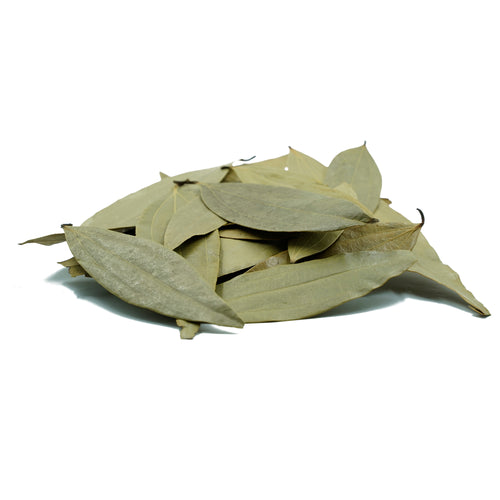 Cinnamomum tamala (Bay Leaves) Leaves