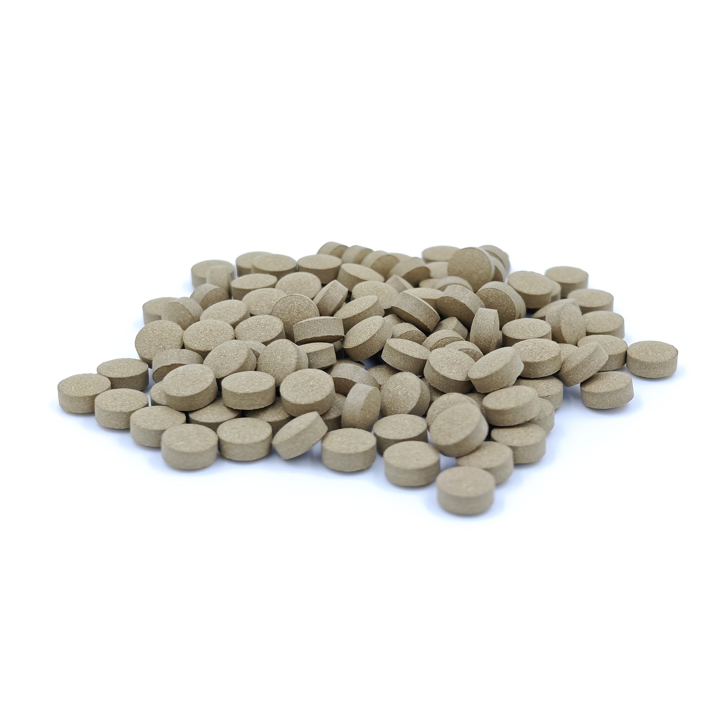 Brahmi Tablet (Bacopa monnieri)