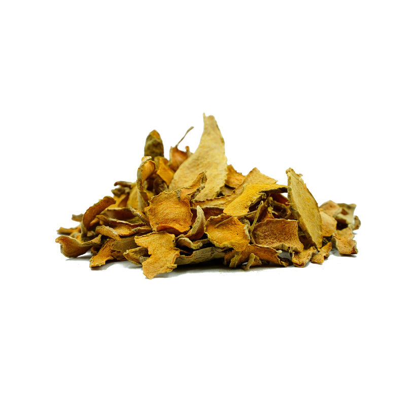 Curcuma longa (Kurkuma)-Rhizomscheiben