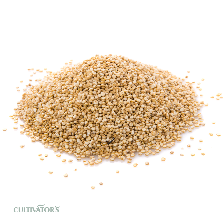 Organic Quinoa Seeds