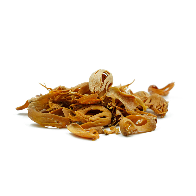 Myristica fragrans (Mace) Mace