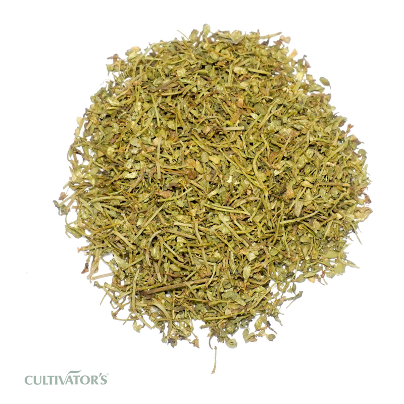 Organic Brahmi plant