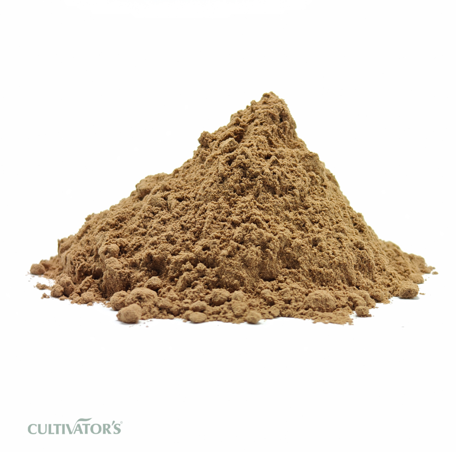 Organic Ashoka Bark Powder