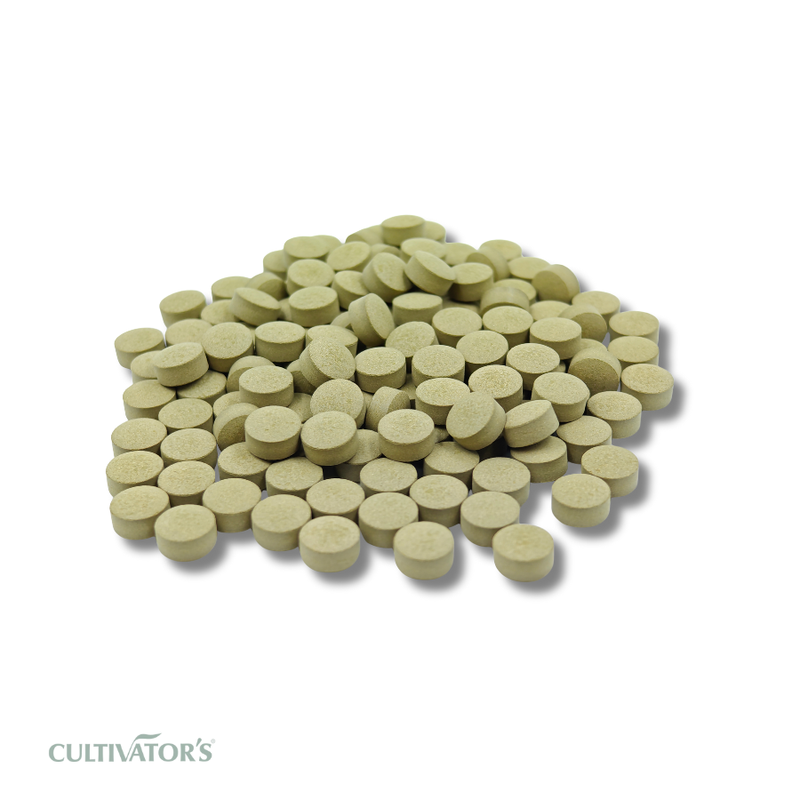 Organic Gurmar Tablets