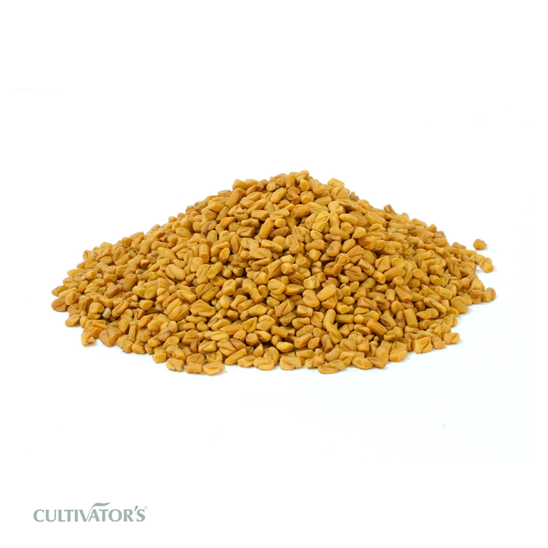 Organic Fenugreek Seeds