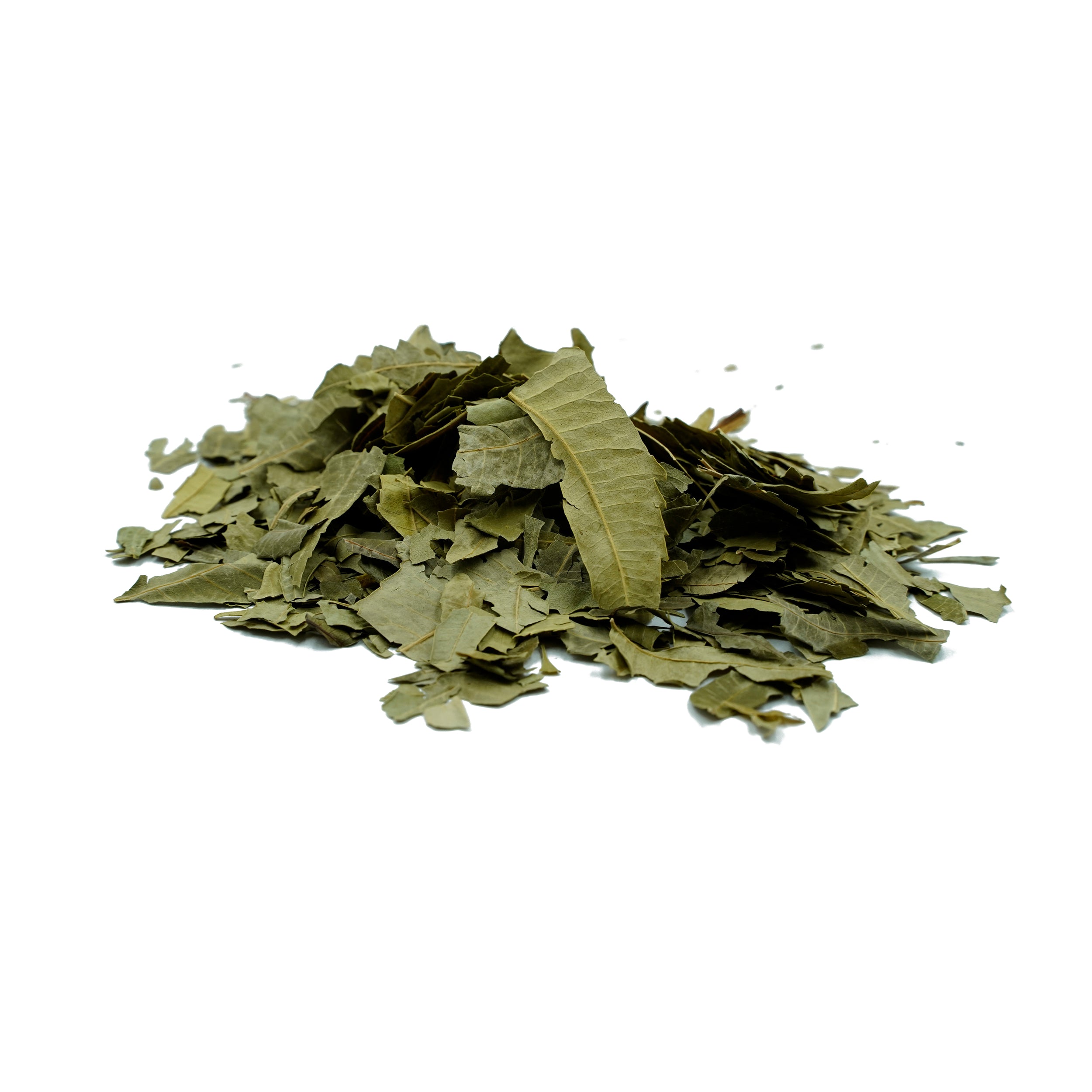 Azadirachta indica (Neem) Leaves