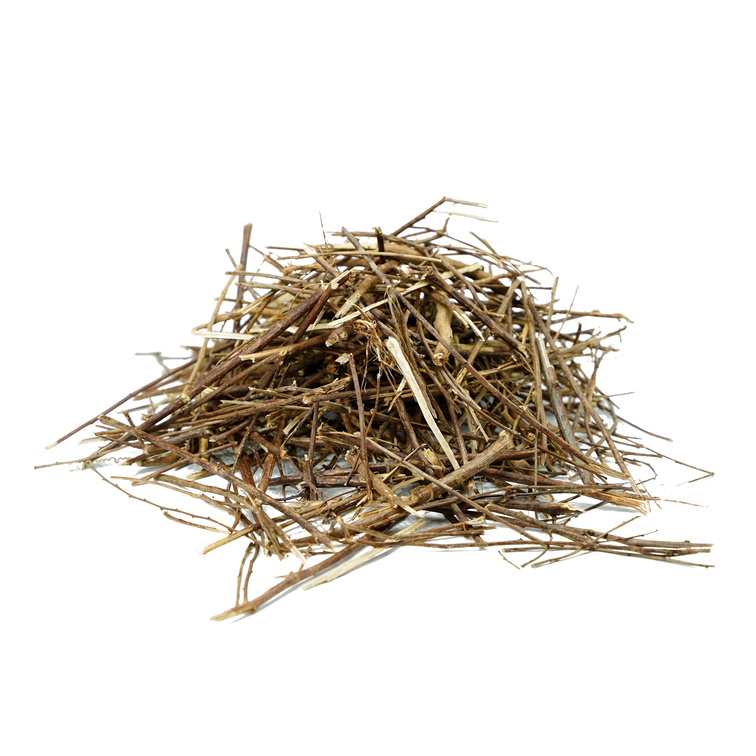 Phyllanthus amarus (Bhumi Amla ) Whole Plant