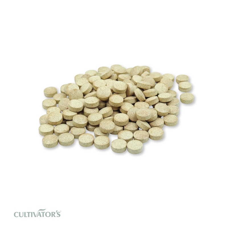 Organic Chicory Tablets