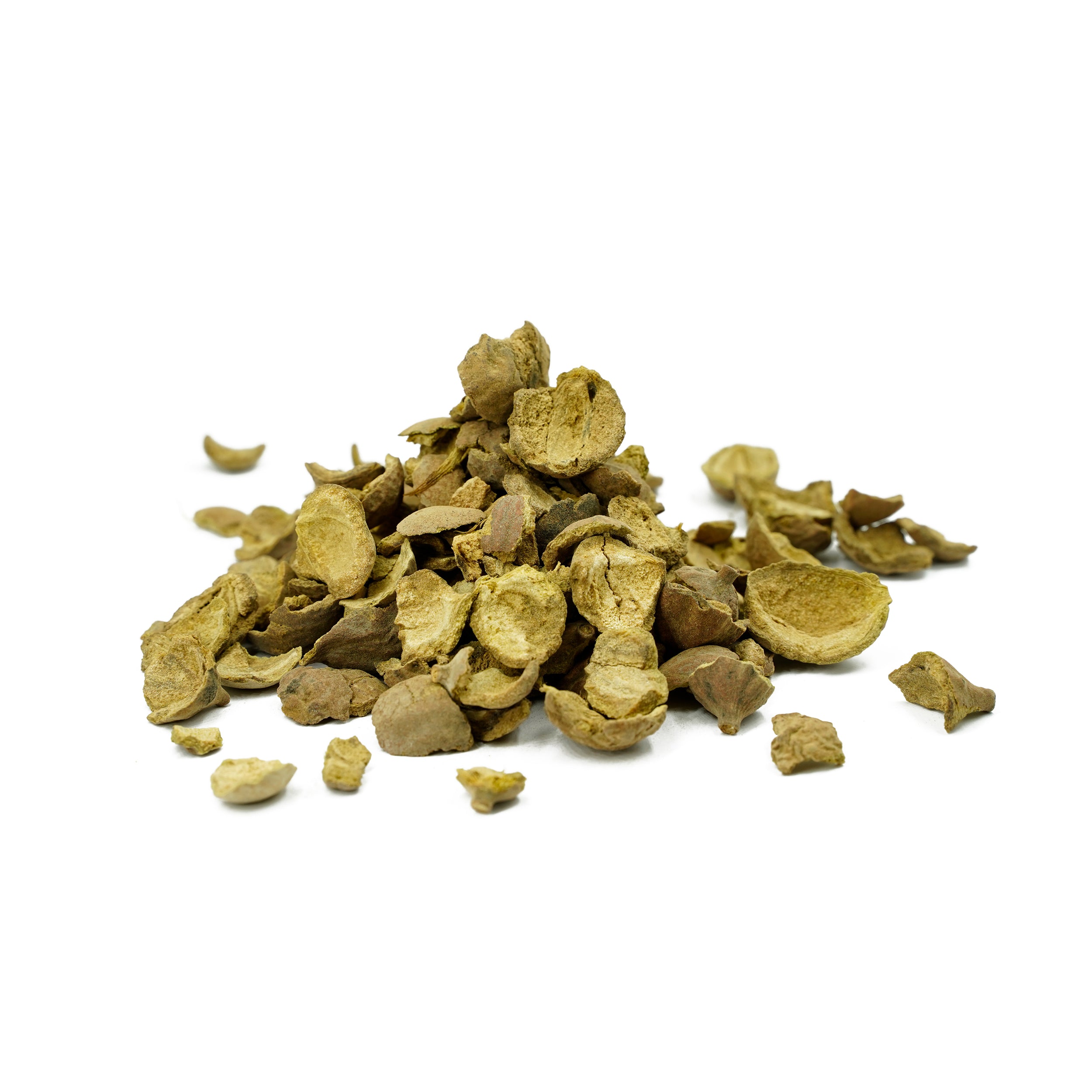 Terminalia bellirica (Bibhitaki) Seedless Fruits