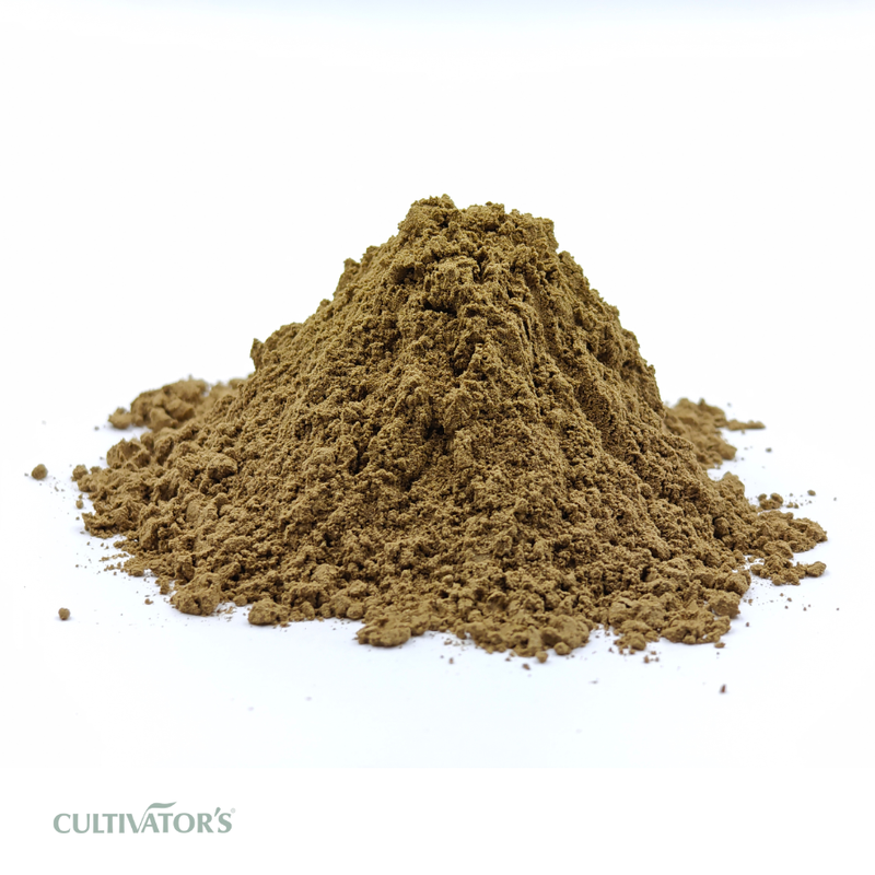 Organic Bhumi Amla Powder