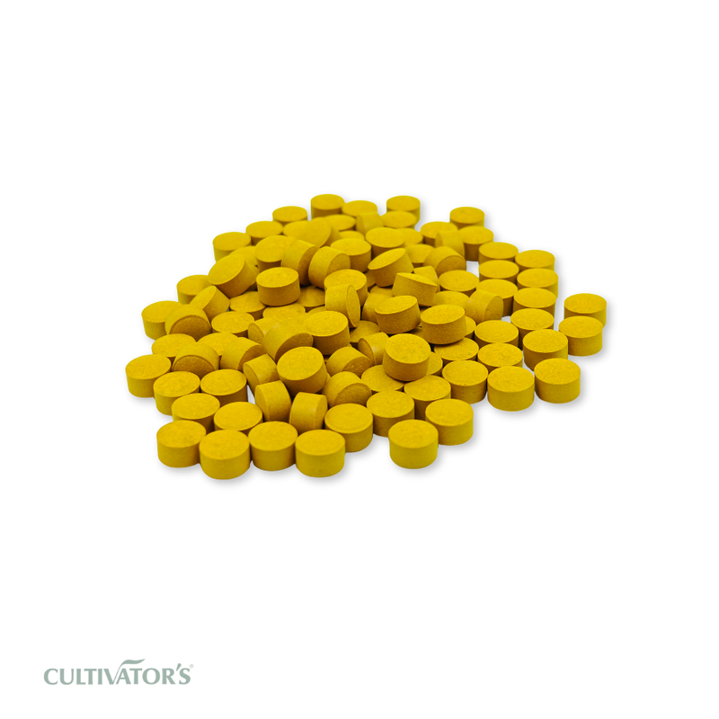 Organic Turmeric Tablets