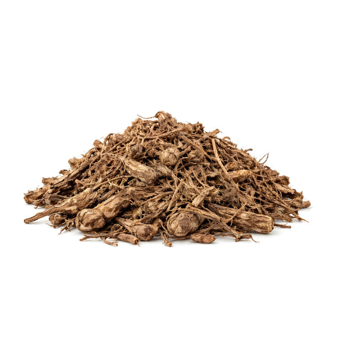 Coleus forskohlii (coleus) Roots