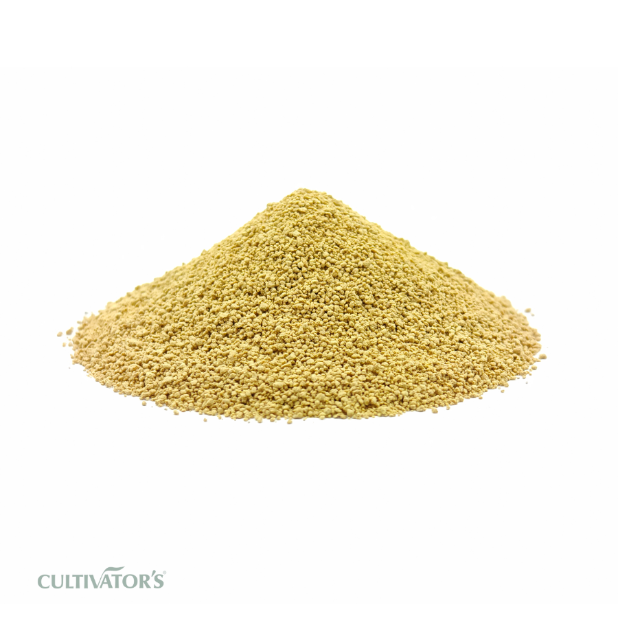 Organic Ginger granules