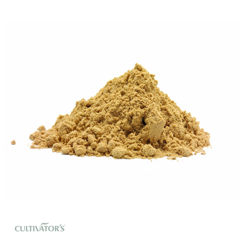 Organic Vacha Rhizome Powder