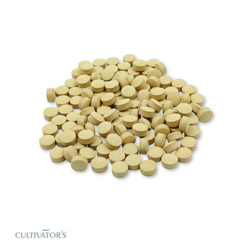 Organic Ginger Tablets