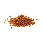 Celastrus paniculatus (Malkangni) Seeds