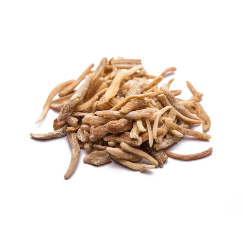 Chlorophytum borivilianum (Safed Musli) Rhizome