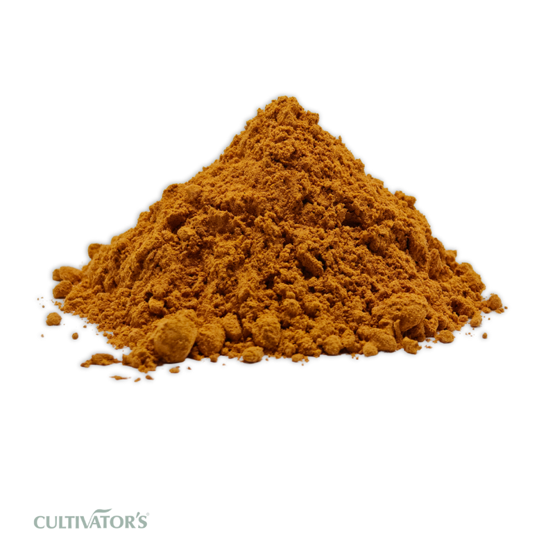 Organic Annatto Seed Powder